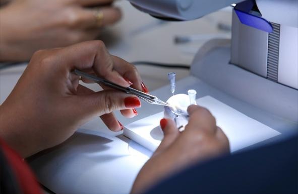 MEAGS Comprehensive Glaucoma Course — event photo