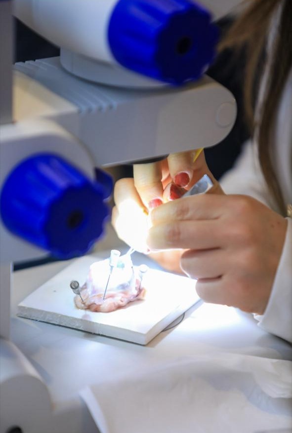 MEAGS Comprehensive Glaucoma Course — event photo